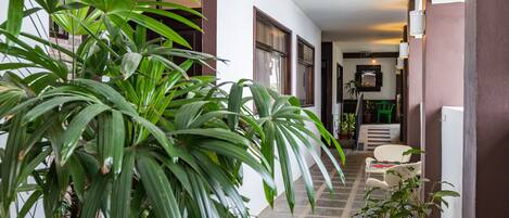 Un pasillo con plantas en macetas, un área de comedor con sillas y una escalera.