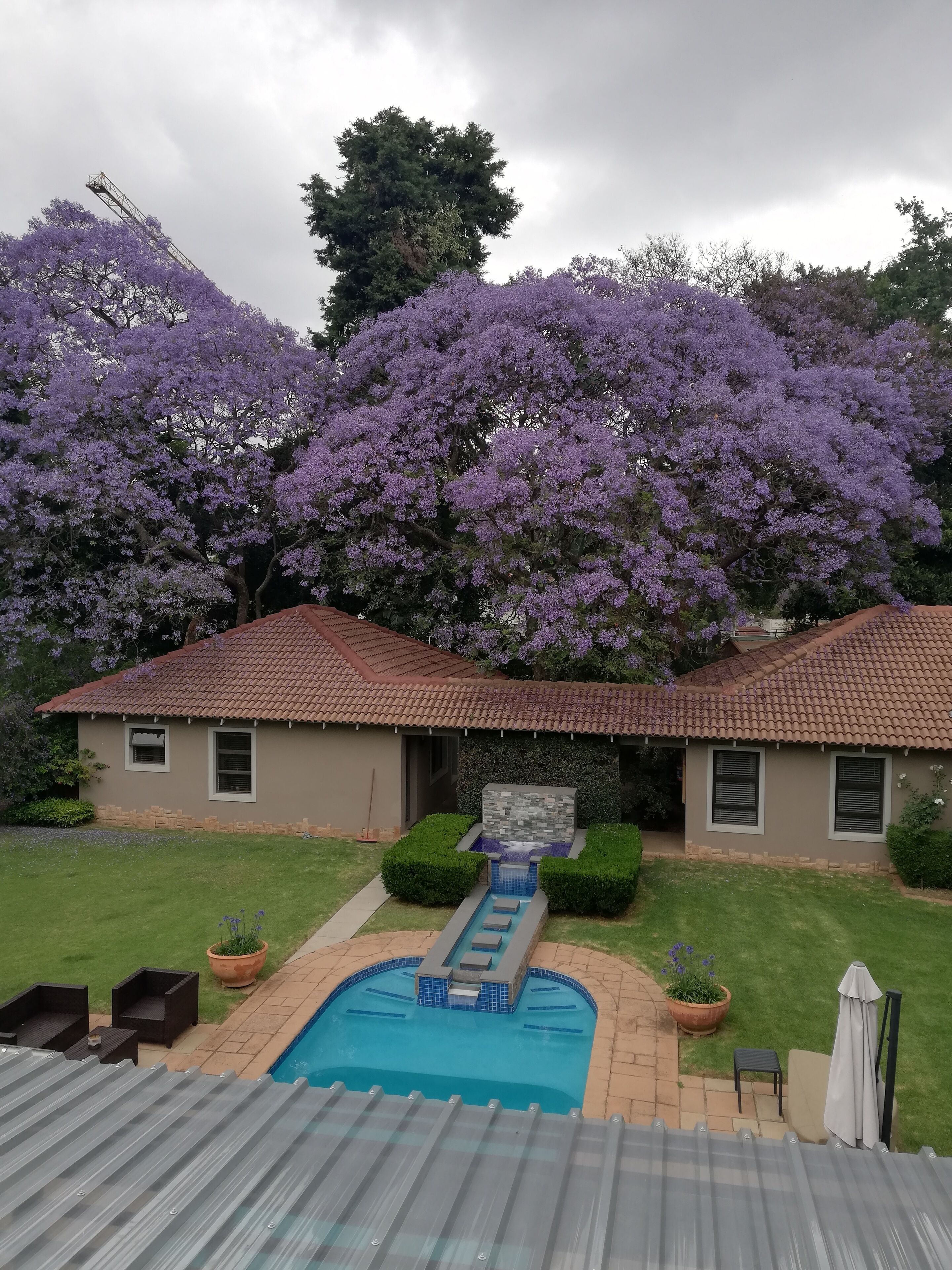 Junior Suite, Balcony, Garden View | View from room