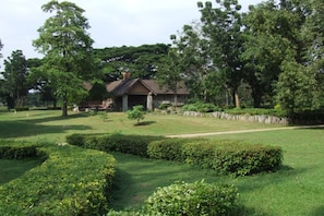 Vườn