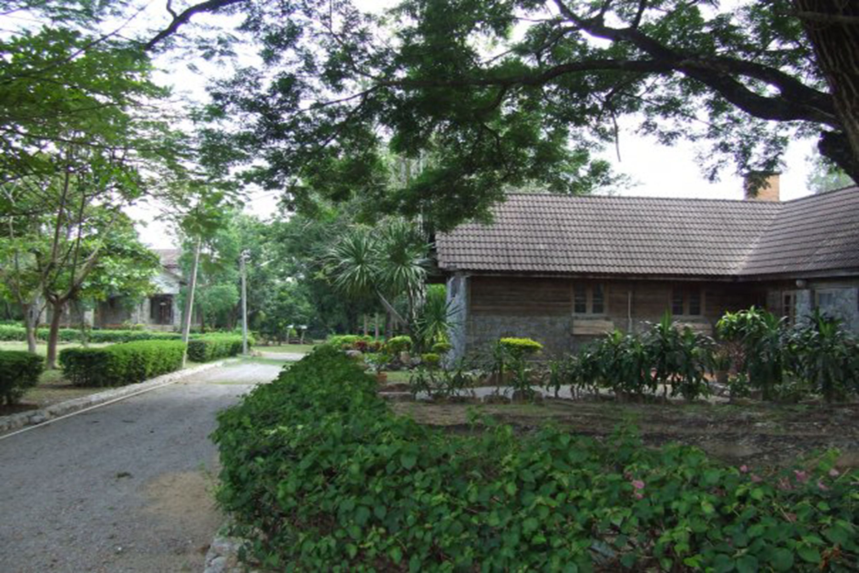 A building with a tiled roof, surrounded by well-maintained greenery and a gravel path.