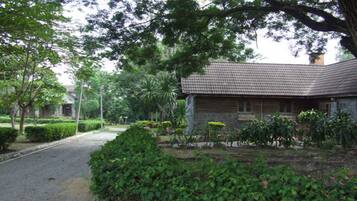A building with a tiled roof, surrounded by well-maintained greenery and a gravel path.