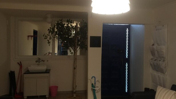 A living room with a large mirror, a plant, a sink, and a door leading to another room. - Housetay Guesthouse 2nd Branch - Hostel (Seoul)
