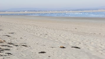 Vlak bij het strand