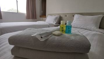 Deluxe Twin Room | Bathroom amenities | Shower, free toiletries, hair dryer, towels