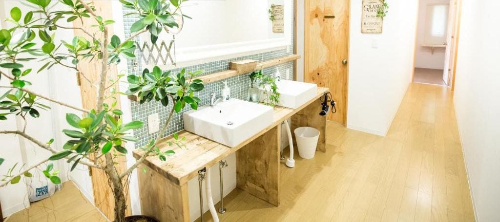 A bathroom with a wooden vanity, two sinks, a mirror, and a potted plant.
