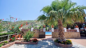 Un área de piscina con una palmera, plantas en macetas y un muro de piedra.