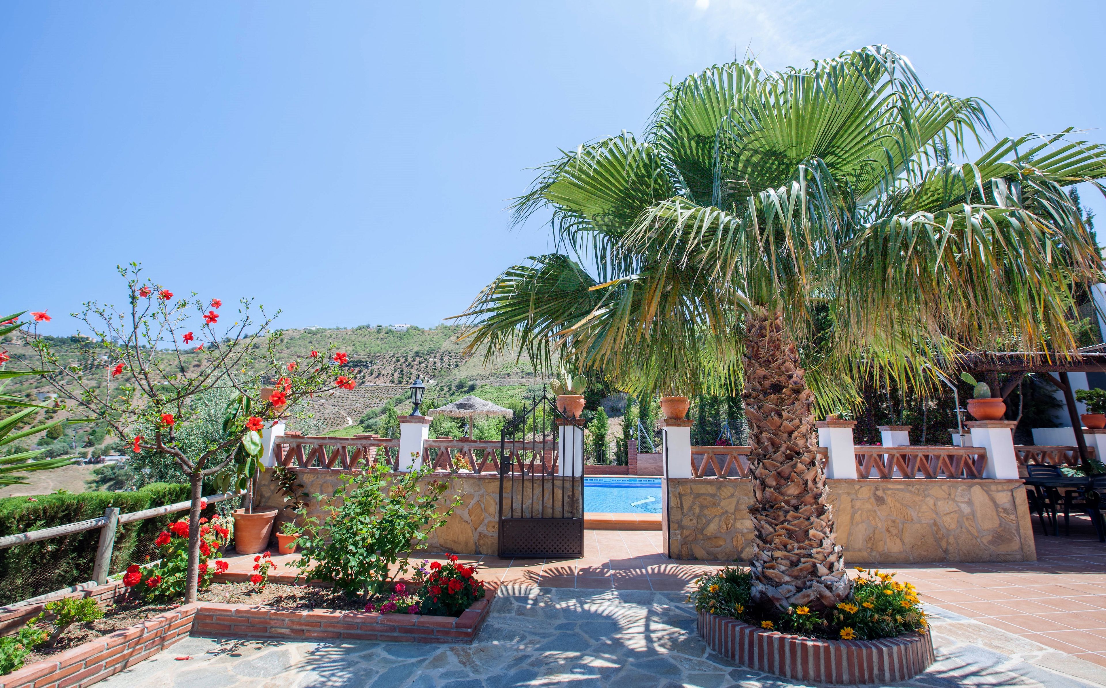 A pool area with a palm tree, potted plants, and a stone wall.
