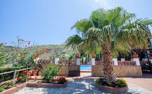 A pool area with a palm tree, potted plants, and a stone wall.