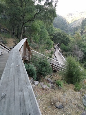 Terrain de l’hébergement 