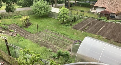 To stay on HeuBergeRaum