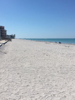 Playa en los alrededores, camastros y toallas de playa 