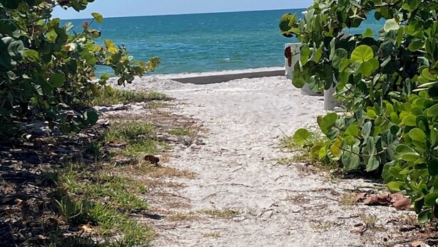 A pathway leading to a beach with a clear view of the ocean. - Kozy Kottage on private road. 2 minute walk to private beach.  Pet friendly! (Englewood)