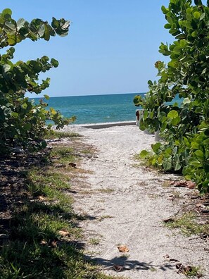 Un sentier qui mène à une plage d’où l’on a une vue dégagée sur l’océan.