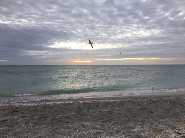 Une plage avec un ciel nuageux et un coucher de soleil.