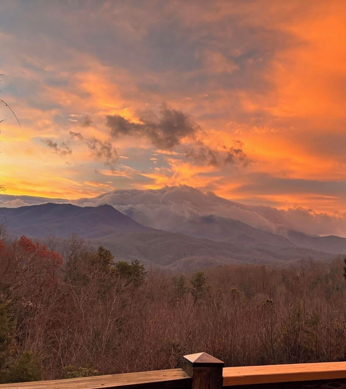 Photo 65 of ASTOUNDING VIEWS in your Backyard! LUXE Log Cabin Experience! 5 Minutes to Town!