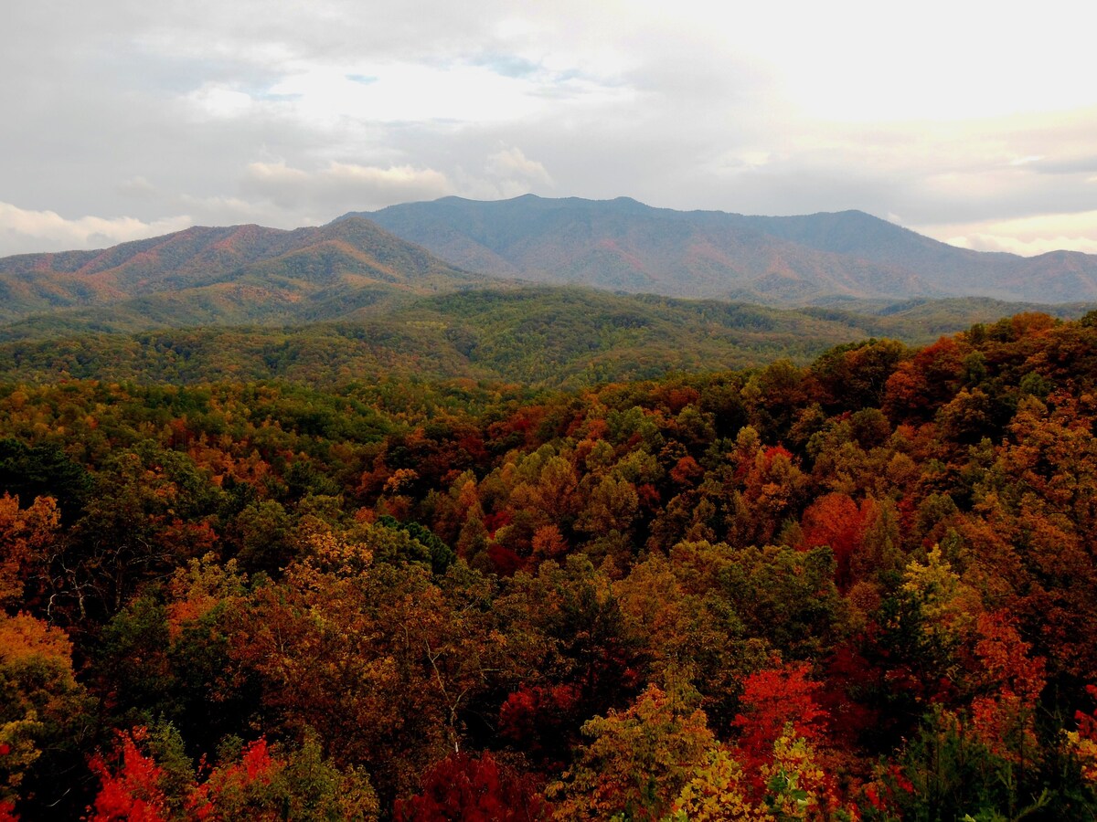Photo 122 of ASTOUNDING VIEWS in your Backyard! LUXE Log Cabin Experience! 5 Minutes to Town!