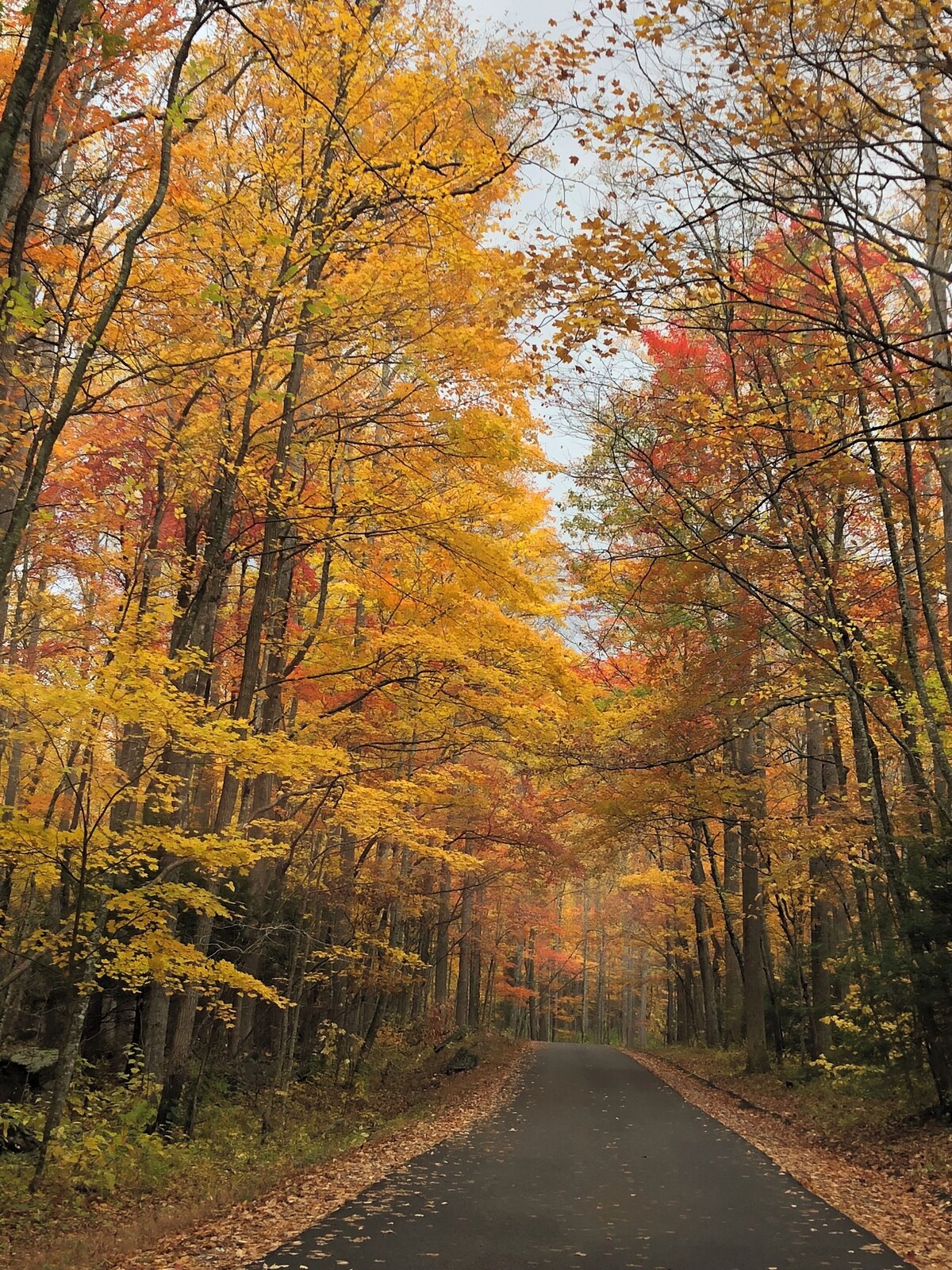 Photo 149 of ASTOUNDING VIEWS in your Backyard! LUXE Log Cabin Experience! 5 Minutes to Town!