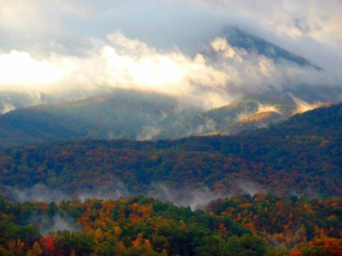 Photo 123 of ASTOUNDING VIEWS in your Backyard! LUXE Log Cabin Experience! 5 Minutes to Town!