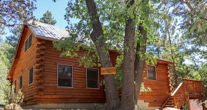 Cozy Idyllwild Log Cabin w/ A/C & EV Charger