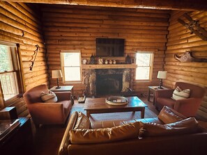 Smart TV, fireplace, DVD player, books