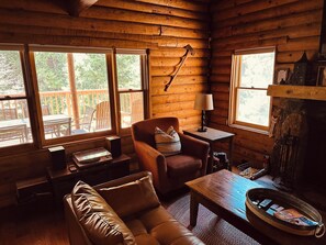 Smart TV, fireplace, DVD player, books