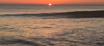 Between pine forest and ocean