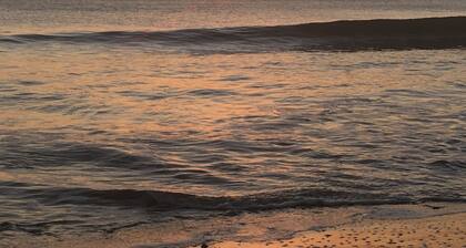 Between pine forest and ocean