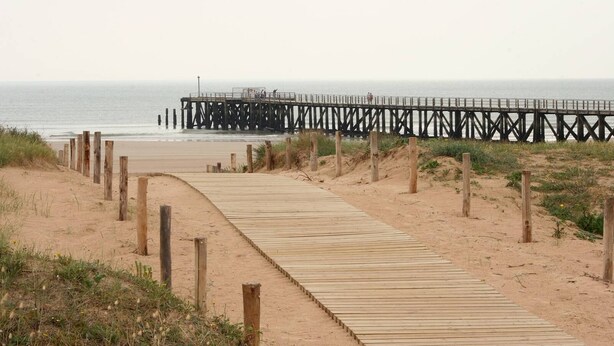A wooden boardwalk leading to a pier extending into the sea. - Between pine forest and ocean (Saint-Jean-De-Monts)