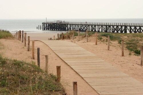 Zwischen Pinienwald und Meer
