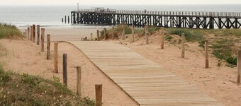 Between pine forest and ocean