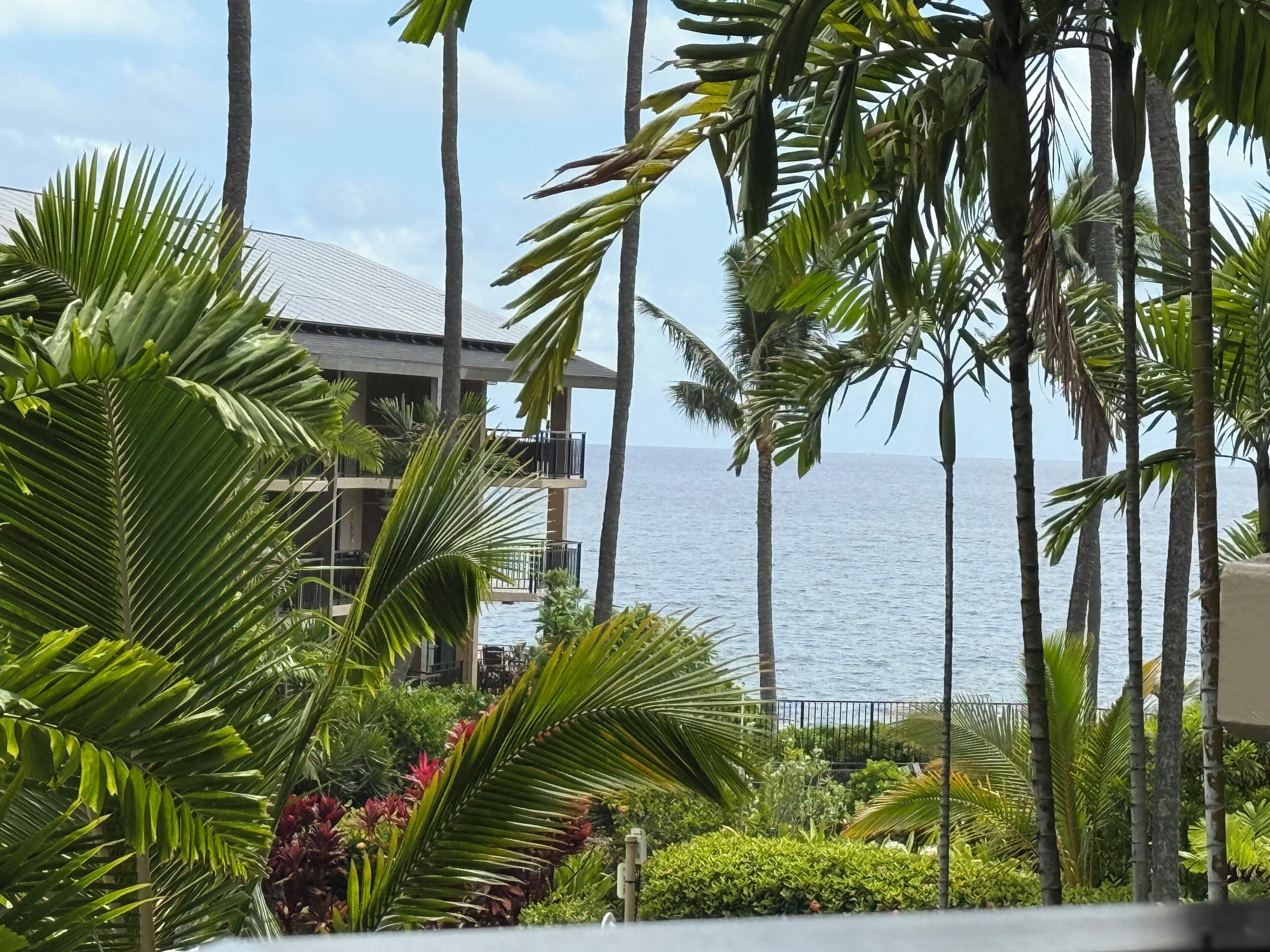 Un resort con vista al océano, palmeras y un edificio con balcones.