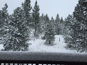 View from property - ***BEST RATE 3bed/2bath SLEEPS 6***  GREAT LOCATION - CLOSE TO ALL SKI AREAS (Truckee)