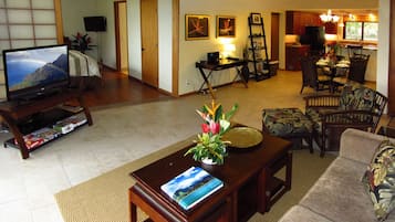 TV connectée, lecteur de DVD, livres, vidéothÚque