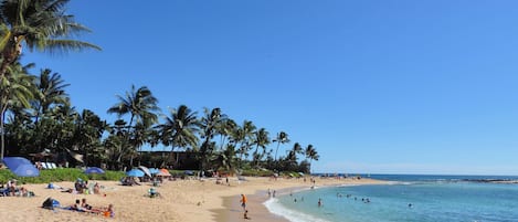 Una spiaggia nelle vicinanze