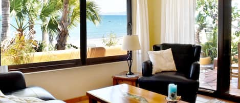 Smart TV, DVD player, books, video library