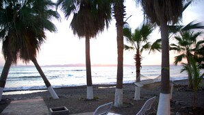Un salon de plage avec des chaises longues blanches et un hamac, des palmiers et une vue sur l’océan.