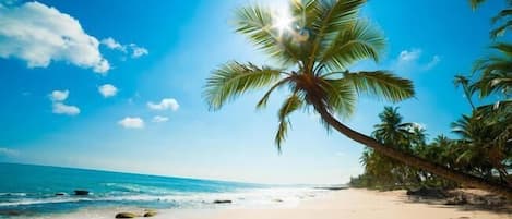 A beach with a palm tree, clear sky, and calm sea.