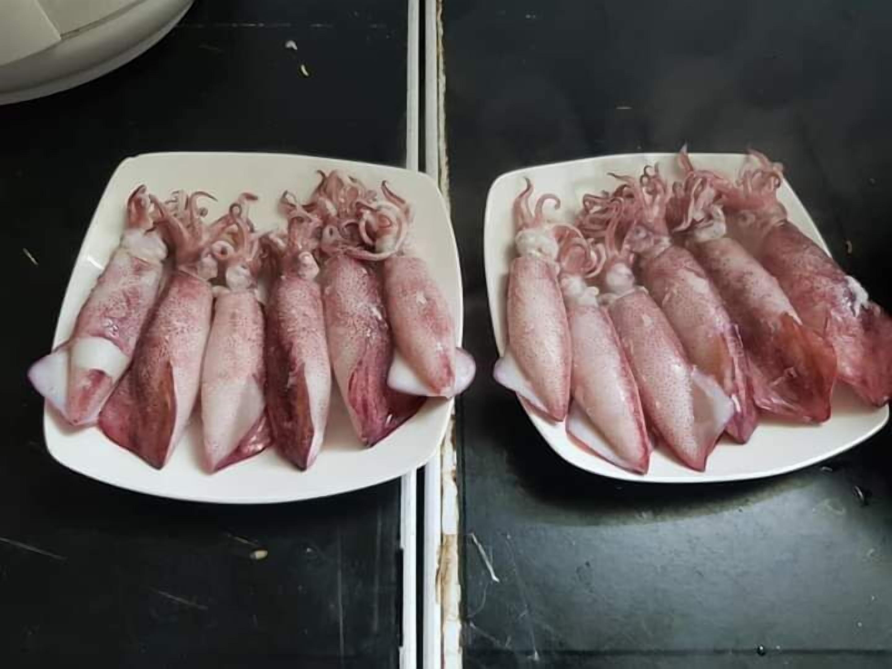 To hvide tallerkener med blæksprutte på en mørk overflade.