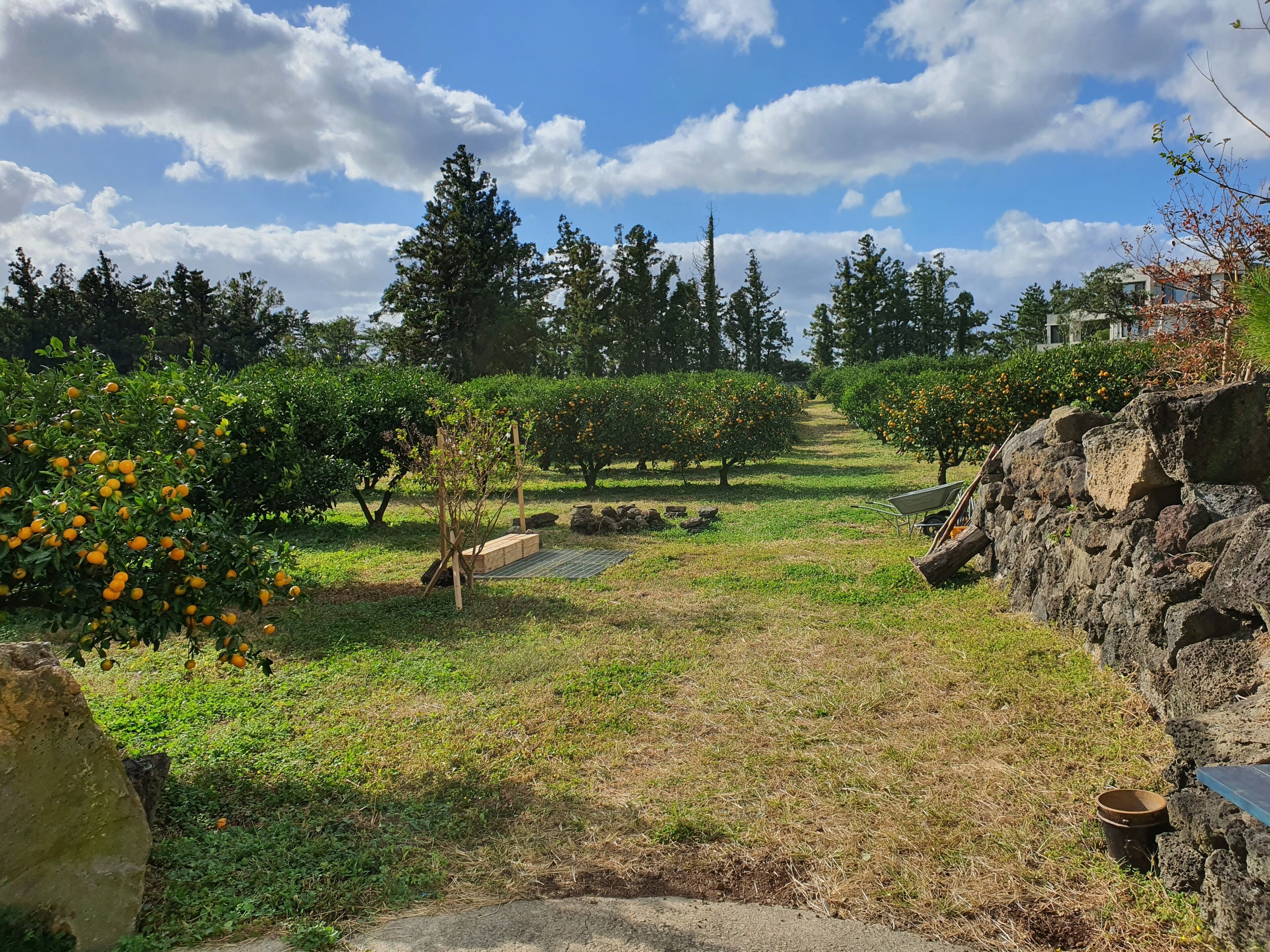 Garden