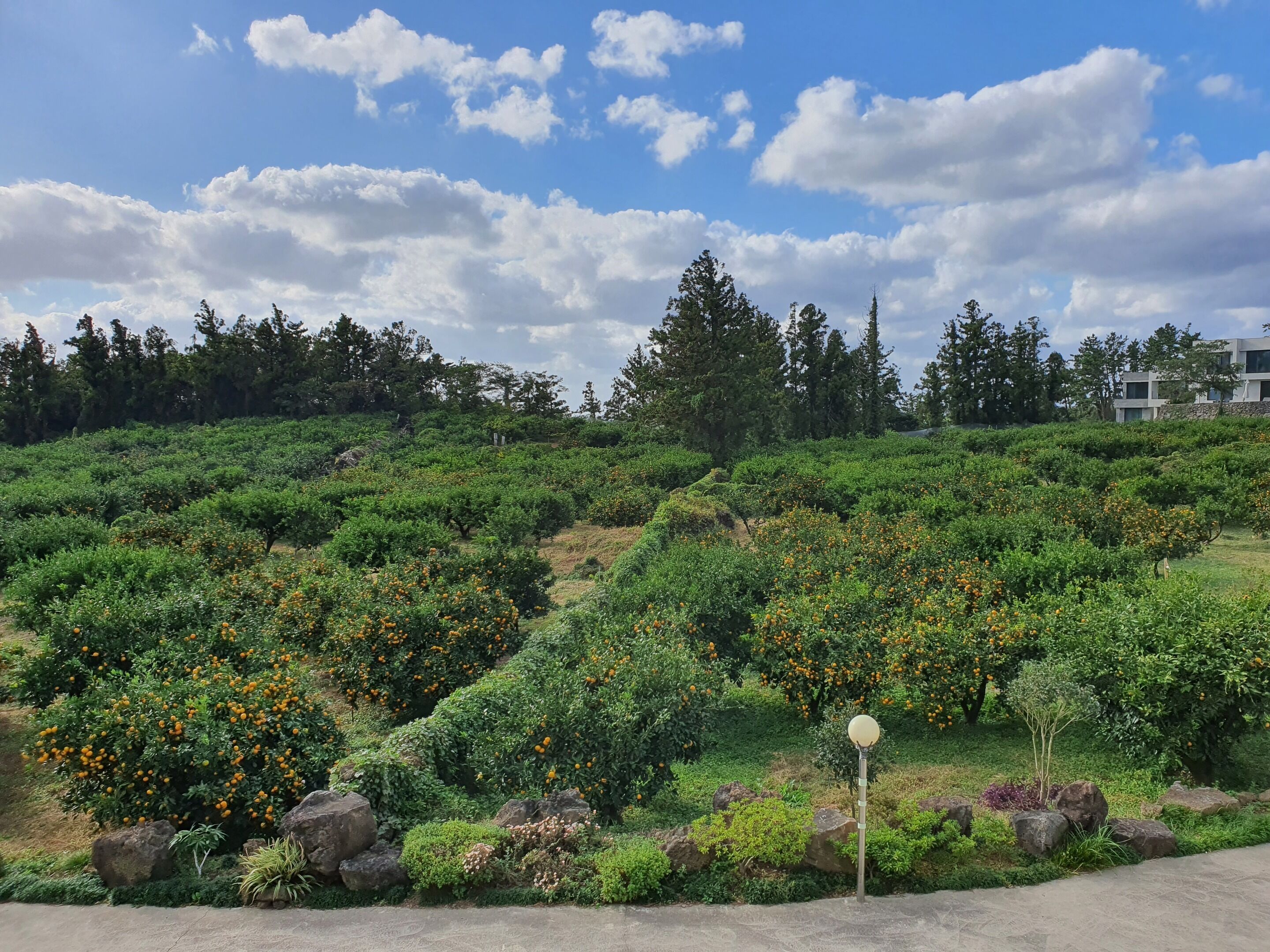 Room C (Scent of tangerines) | View from room