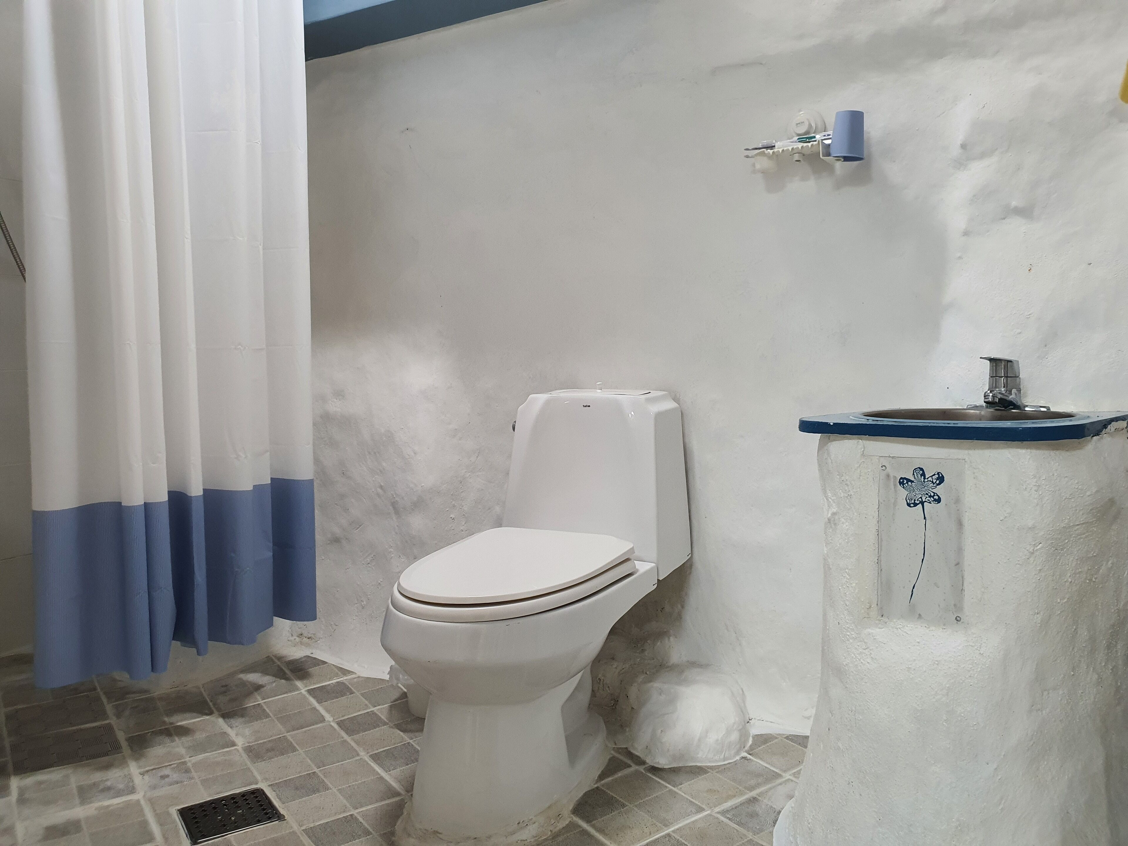 A bathroom with a toilet, a sink, and a shower curtain.