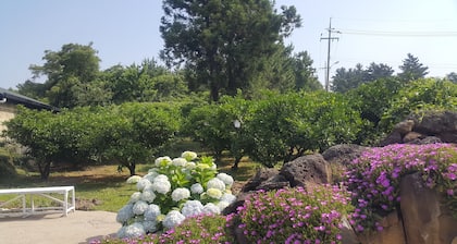 JejuMermuri