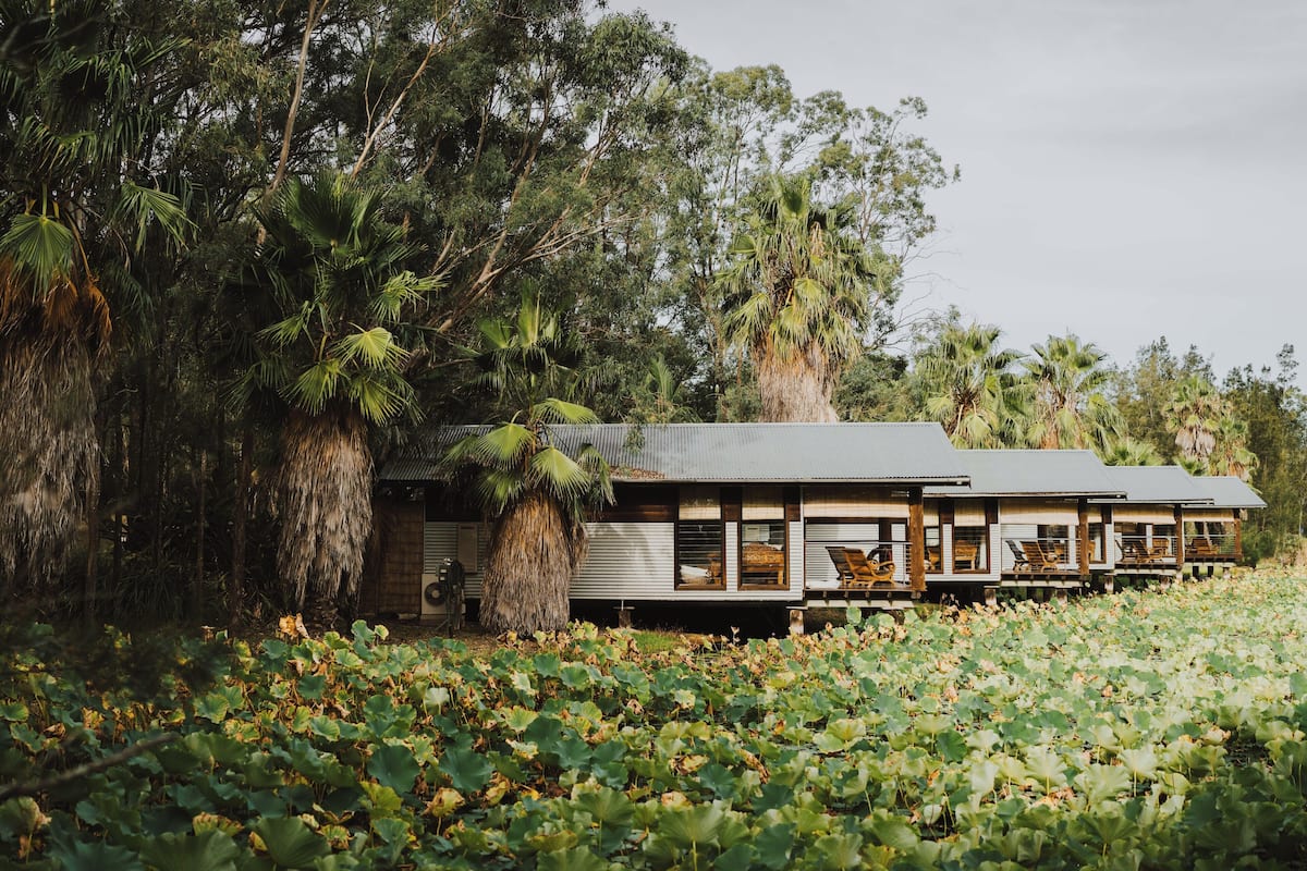 Un hôtel de style bungalow, doté d’un toit de chaume, entouré d’une végétation luxuriante et agrémenté d’un bassin à nénuphars.
