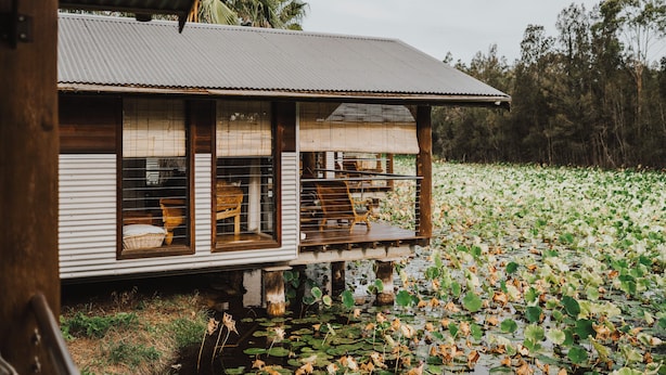 A house with a balcony overlooking a water body with lily pads. - The Boathouses at Leaves & Fishes (Lovedale)