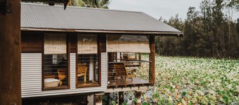 Leaves & Fishes 船屋酒店