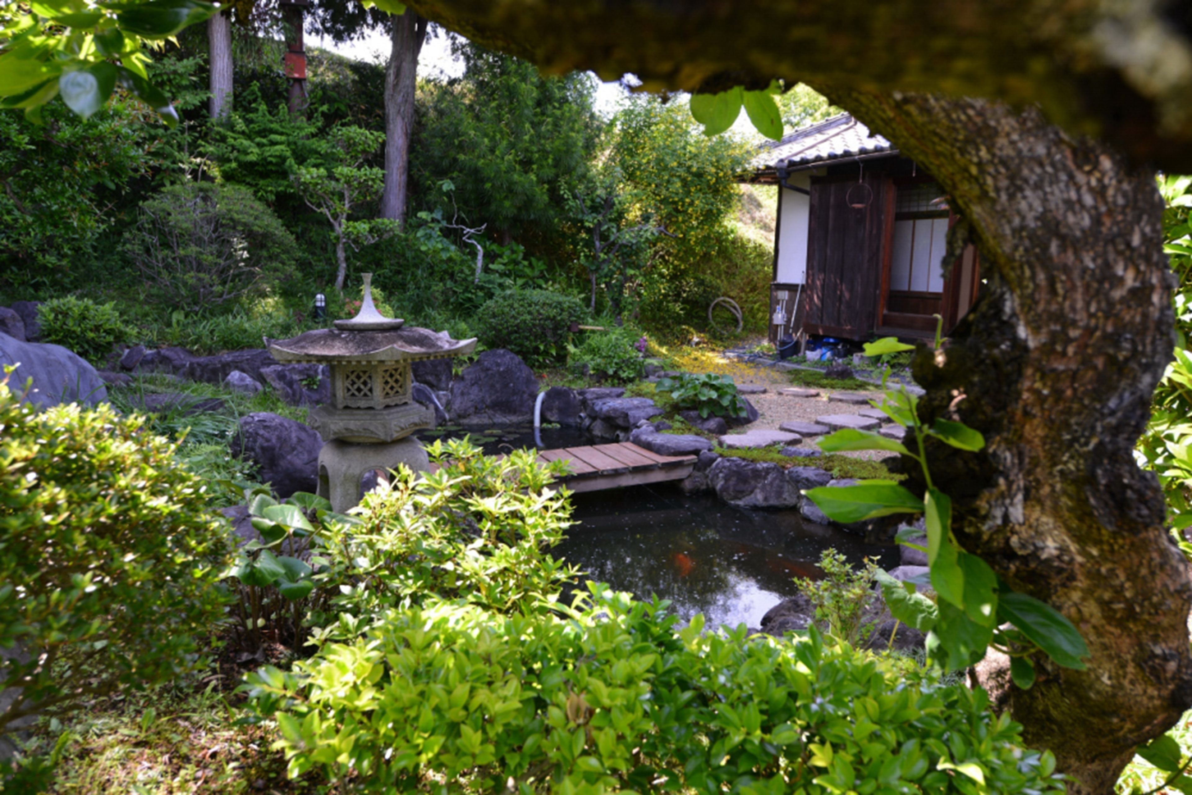 Een traditionele Japanse tuin met een stenen lantaarn, een vijver met koi karpers en een houten gebouw.