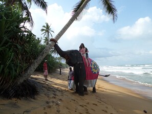 Private beach nearby - Hotel Italia (Ambalangoda)
