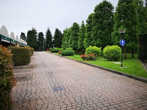حديقة