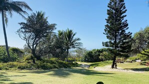 A well-maintained grassy area with a variety of trees, including palm and pine trees, and several wooden benches. - The Eco Beachcamp Retreat (Eurong)