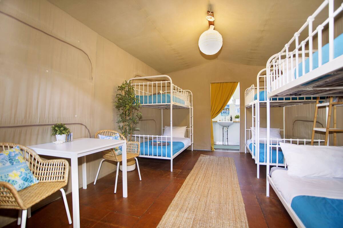 A room with bunk beds, a table, chairs, and a plant.
